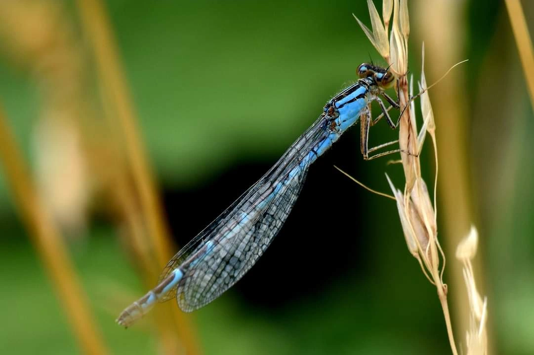 life is deeply personal